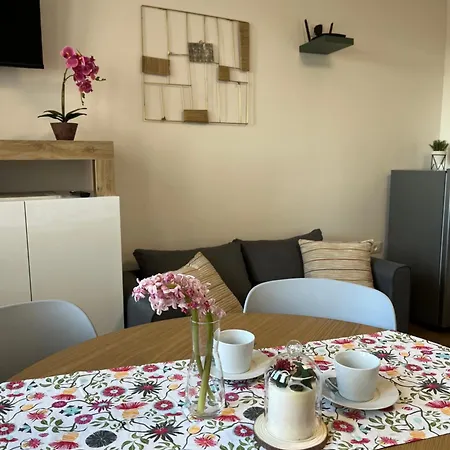 Venice 法瓦罗威尼托